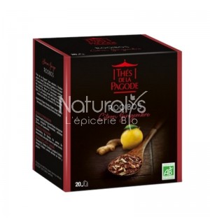ROOIBOS CITRON GINGEMBRE - 20 INFUSETTES X 2 GR
